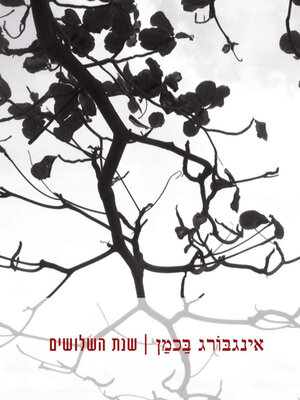 cover image of שנת השלושים